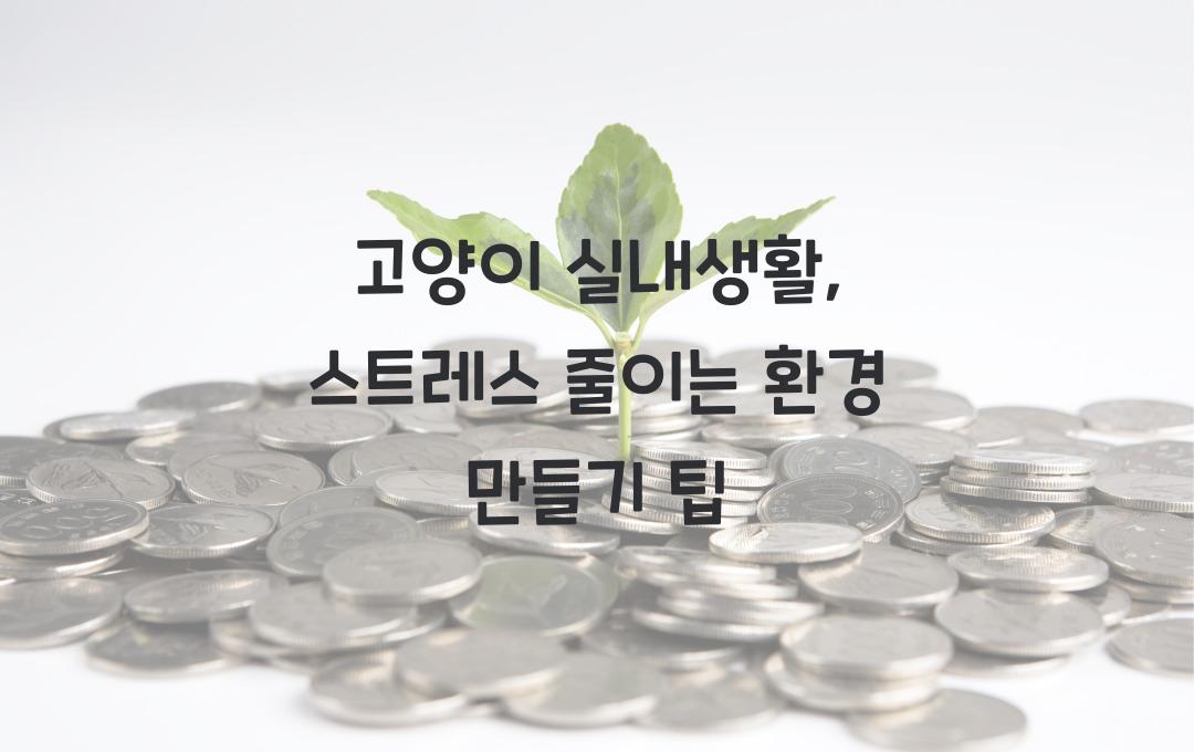 고양이 실내생활, 스트레스 줄이는 환경 만들기