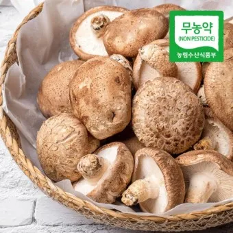 표고버섯 효능_19