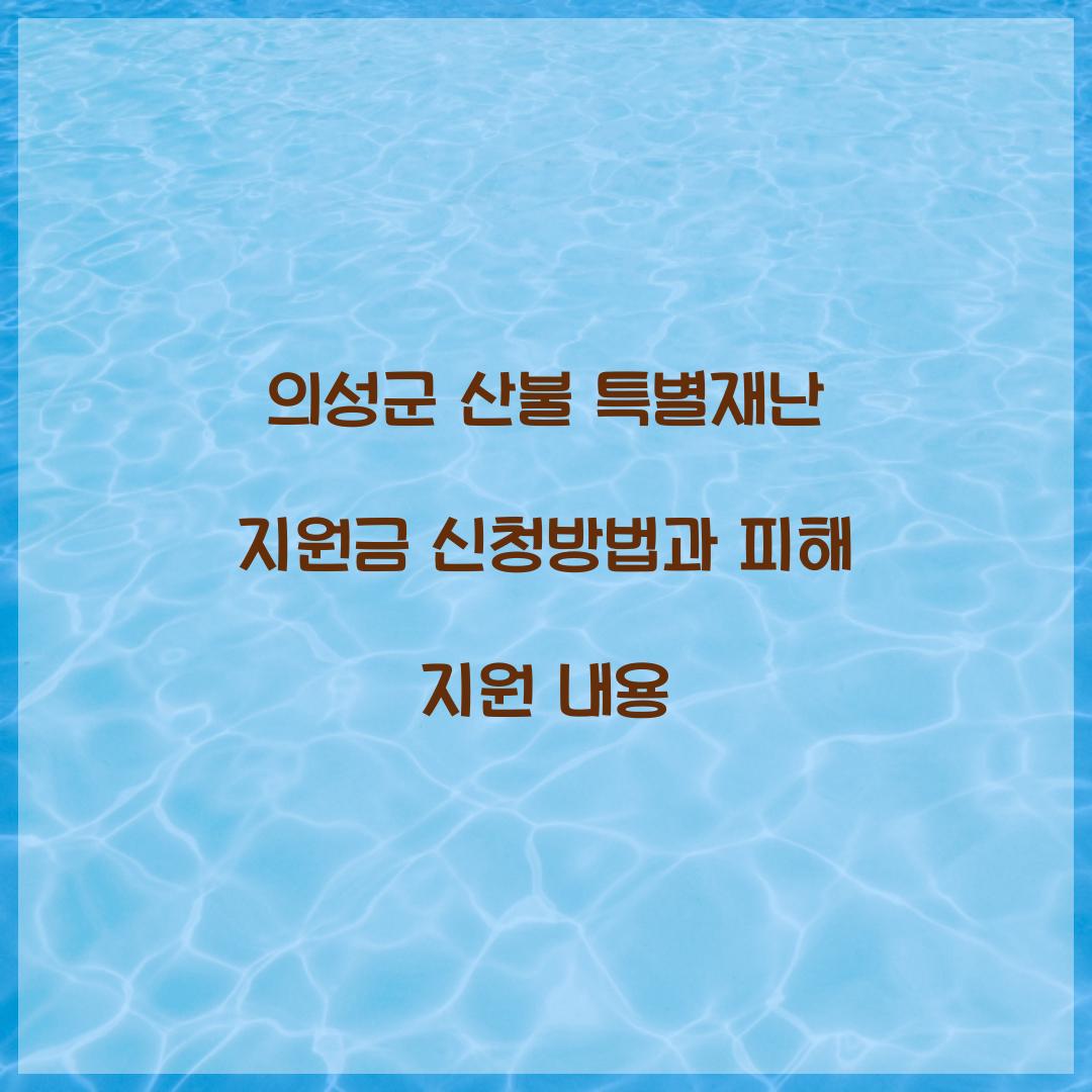 의성군 산불 특별재난 지원금