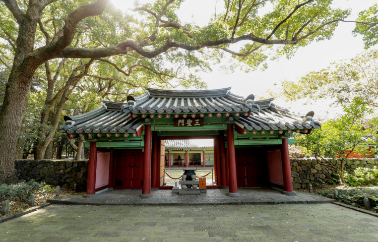 제주 앨리스 앤 트렁크 호텔 주변 제주공항 근처 가볼만한곳 BEST 10