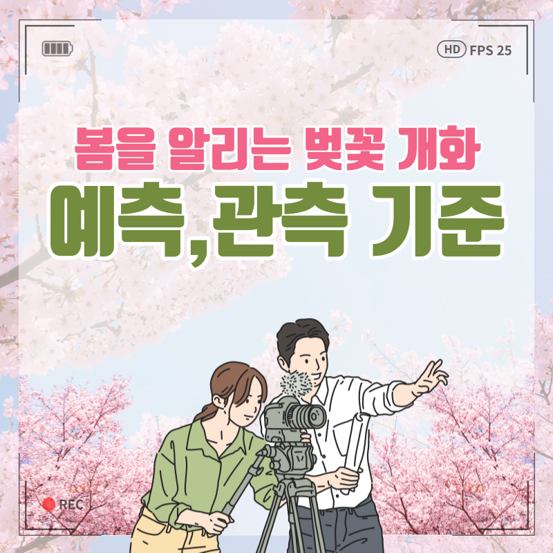예측관측(1)