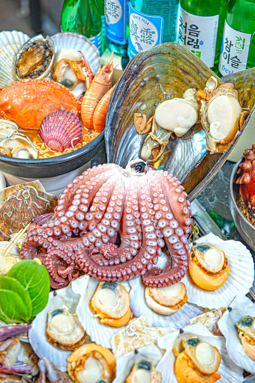 생방송투데이 오픈런빨라야 먹는다! 원주 조개구이 조개찜 맛집 통큰조개회