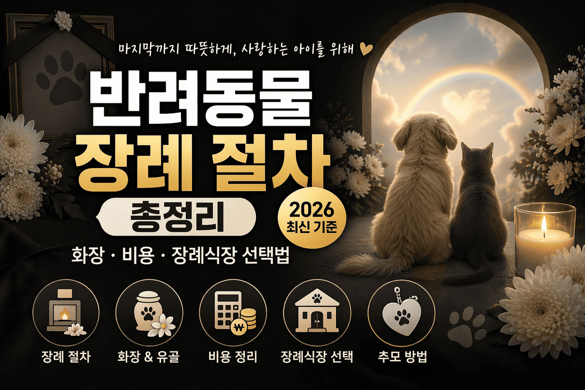 반려동물 장례 절차 총정리