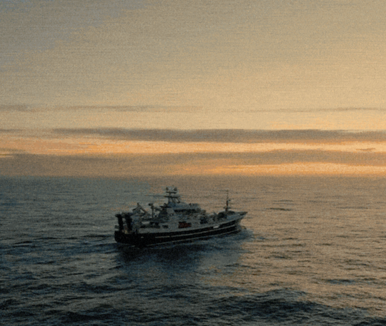 헤일 오일을 위한 향해