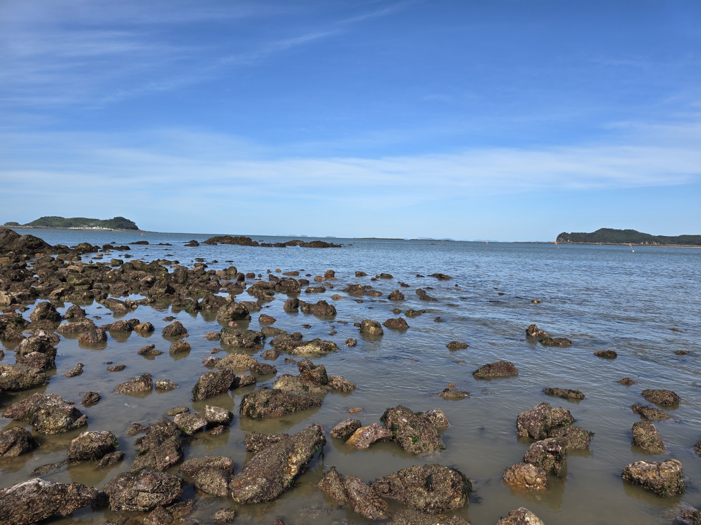 아직 더 물이 빠지는 중인 바다