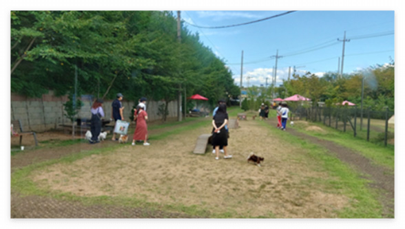 태산패밀리파크 반려견 놀이터