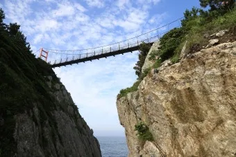 통영 연화도 수국 꽃길 산책 코스와 최적 관람 시기_4