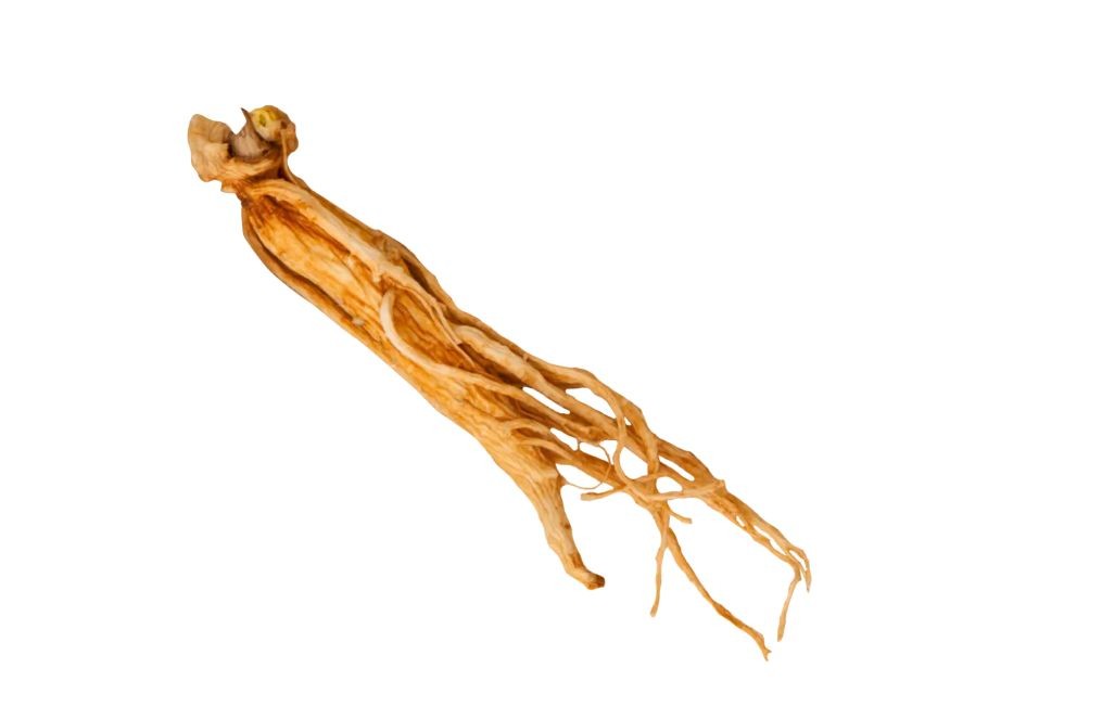 도라지청의 효능