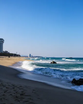 강릉 맛집 추천 여행코스에 포함하기 좋은 식당 리스트_2