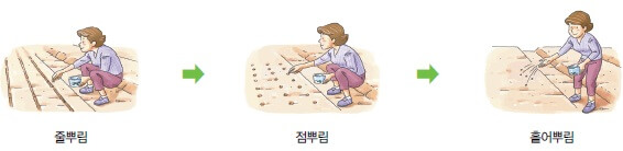씨앗 뿌리기
