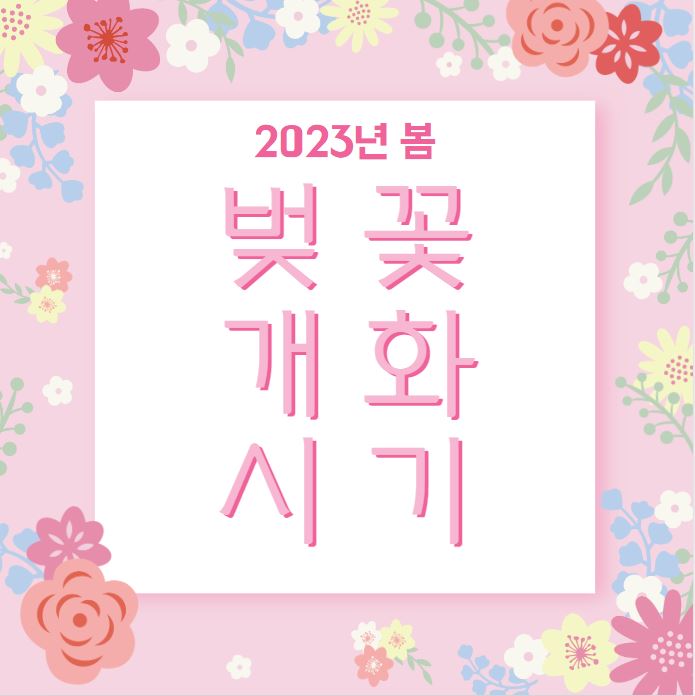 벚꽃 개화시기 포스터