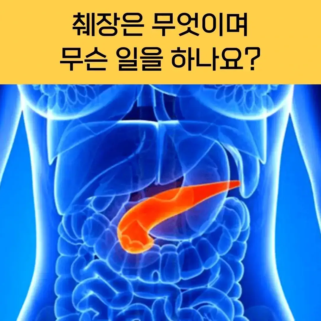 췌장암 초기증상