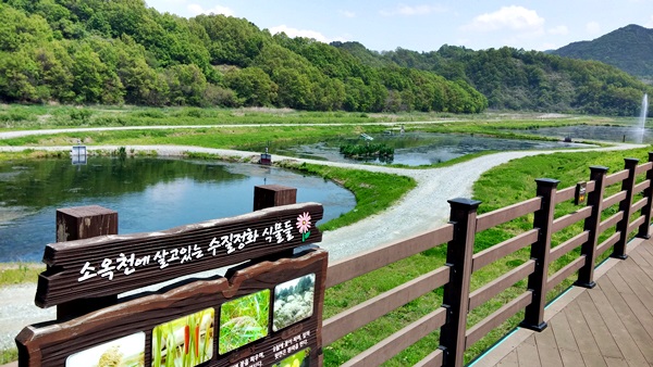 옥천 가볼만한 곳