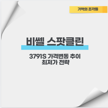 비쎌 스팟클린 3791S 가격변동 추이 최저가 전략
