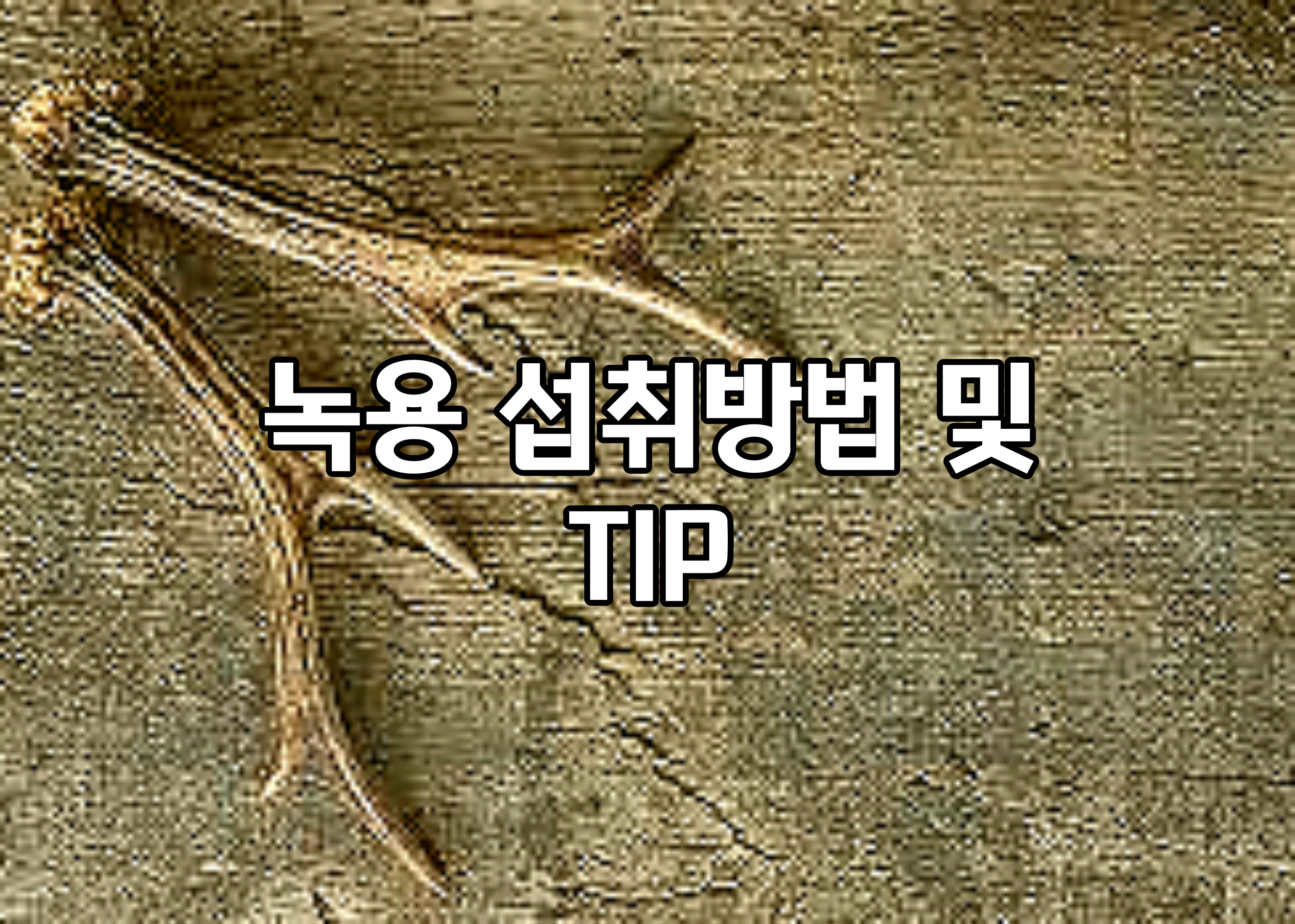 녹용 섭취방법 및 TIP