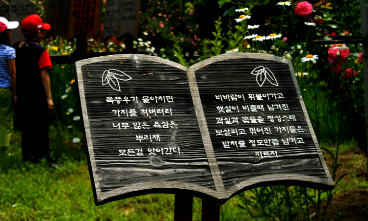 담양 죽화경