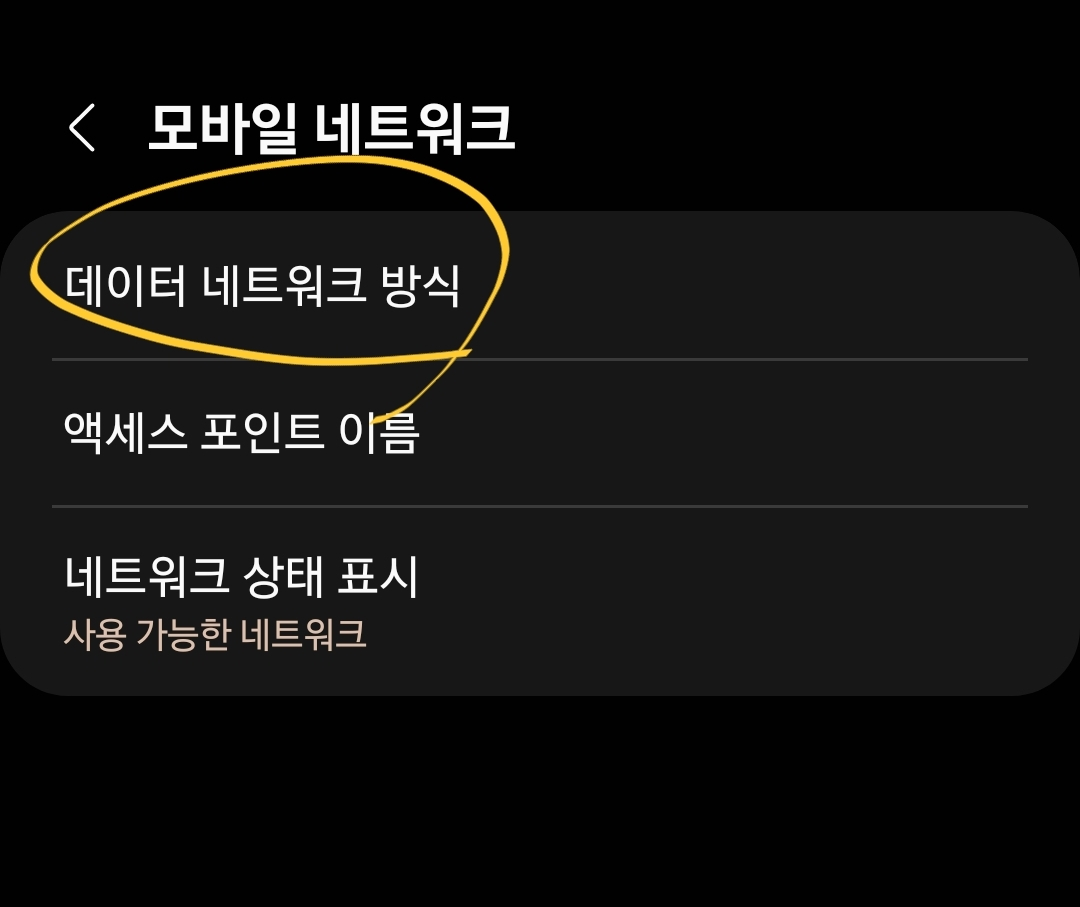 데이터 네트워크 방식을 선택하세요.