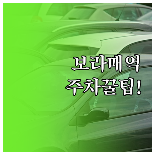 신대방동 보라매역 주변 공영주차장 요..