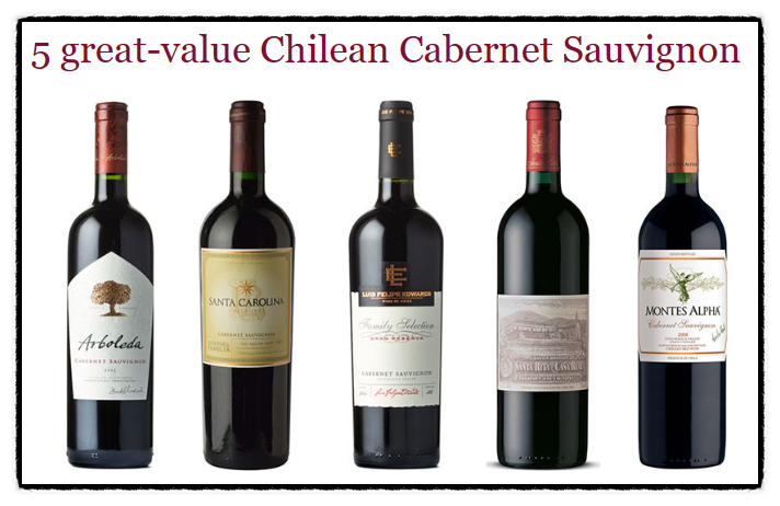 대표적인 칠레와인