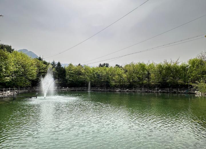 포천 도마치캠핑장 소개