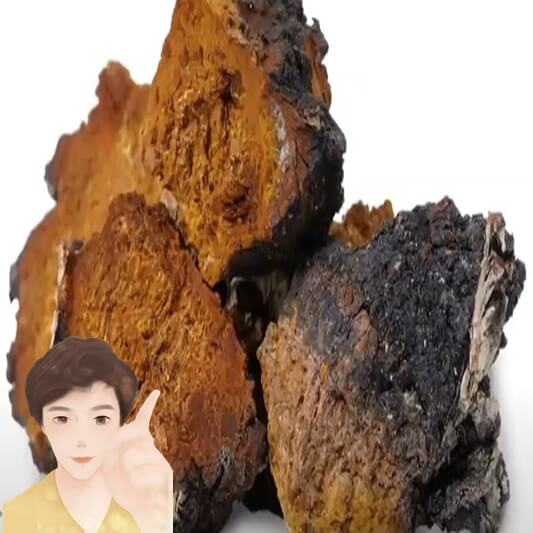 차가버섯-무엇인가