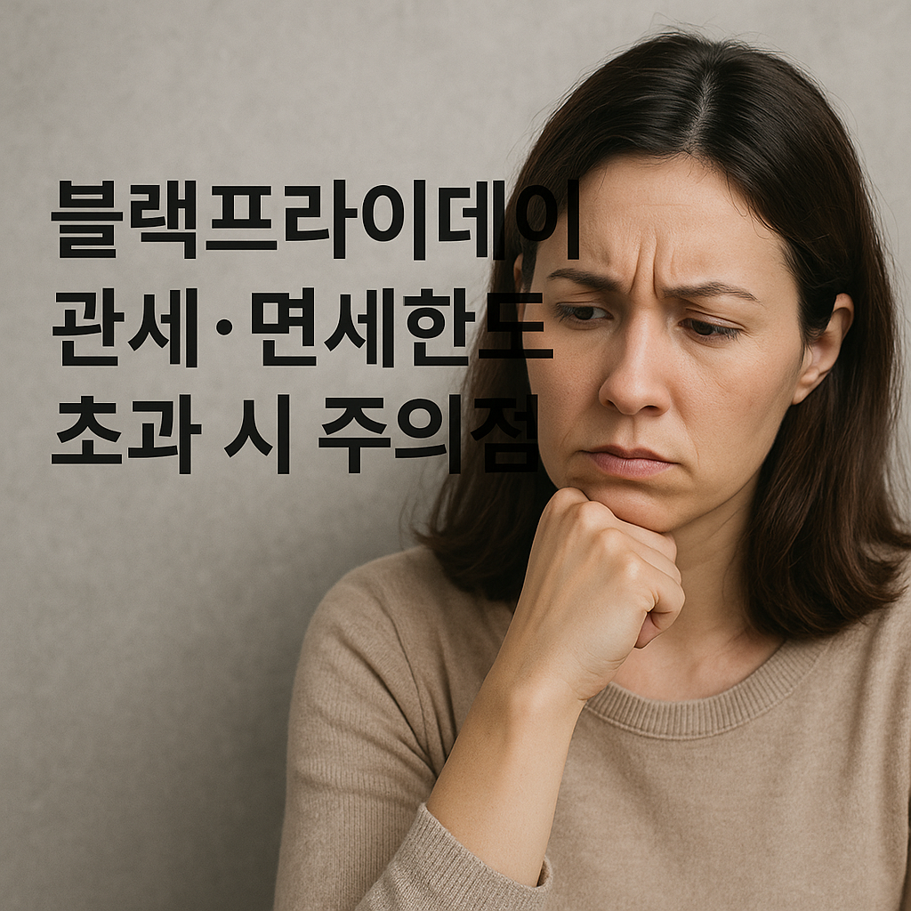 블랙프라이데이 관세 · 면세한도 초과 시 주의점