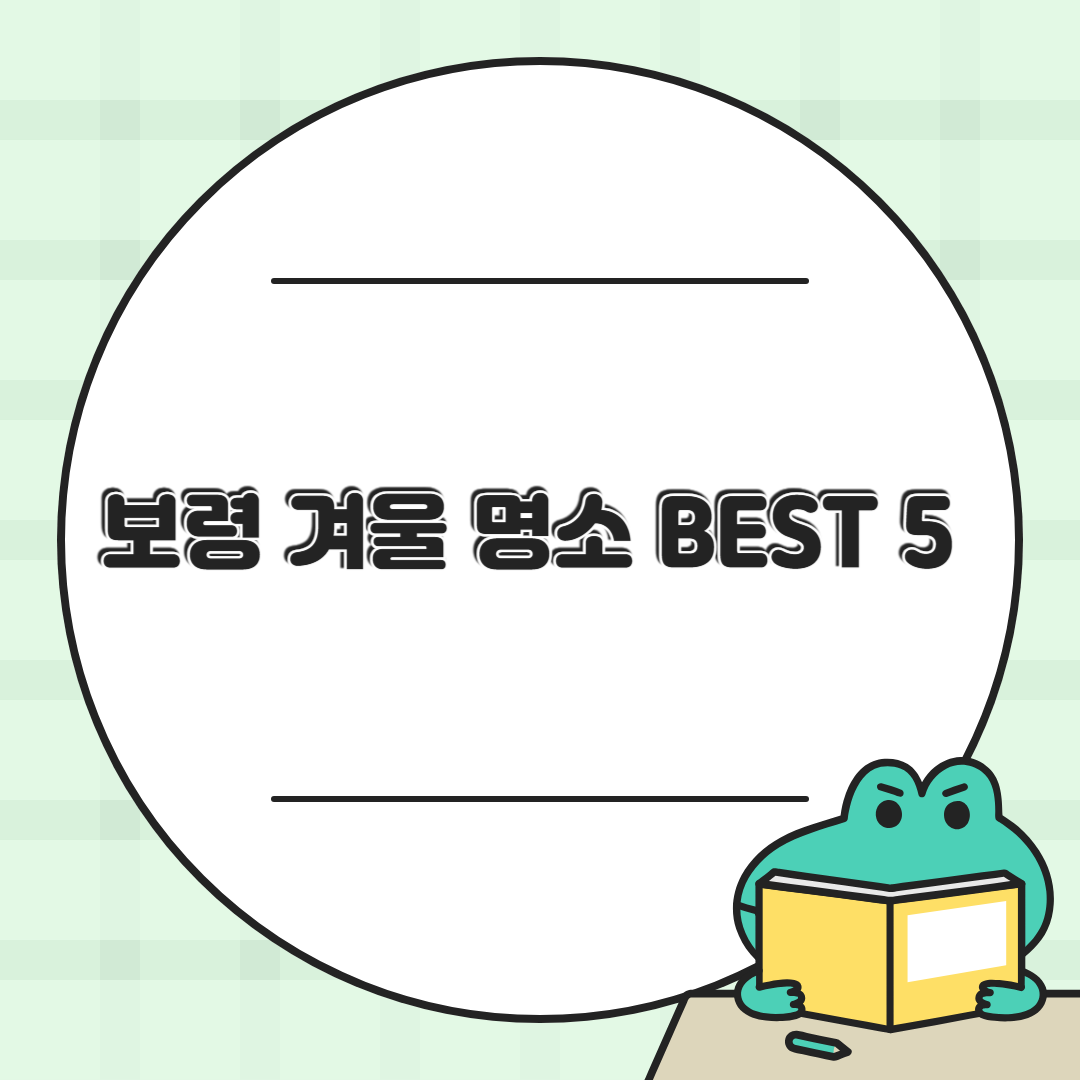 올겨울 꼭 가봐야 할 보령 겨울 명소 BEST 5 ❄️ 감성 가득 힐링여행