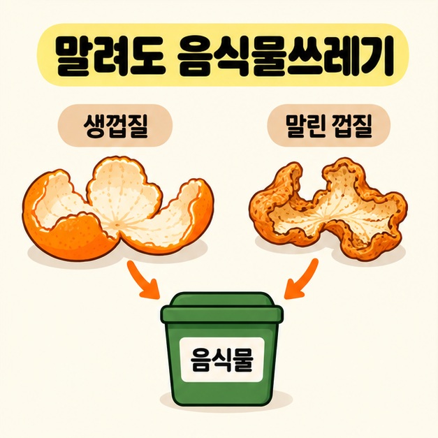 생껍질과 오그라든 말린 귤껍질에서 같은 음식물 수거용기로 화살표가 이어져 말려도 분류가 같음을 보여주는 그림