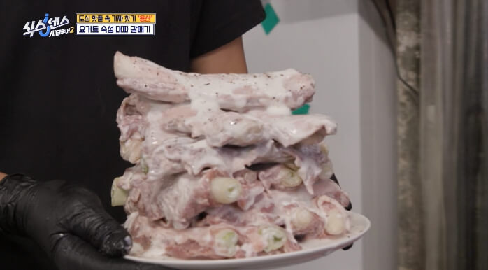 식스센스-시티투어2-요거트숙성-대파-갈매기