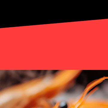 홍성남당항 대하축제