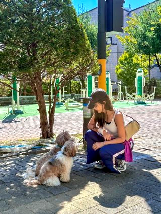 채정안 프로필 &amp;#124; 나이 이혼 자녀 키 근황