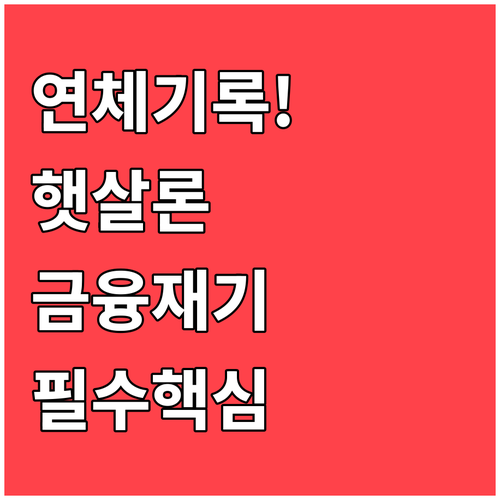 저신용 서민을 위한 햇살론 연체 기록..