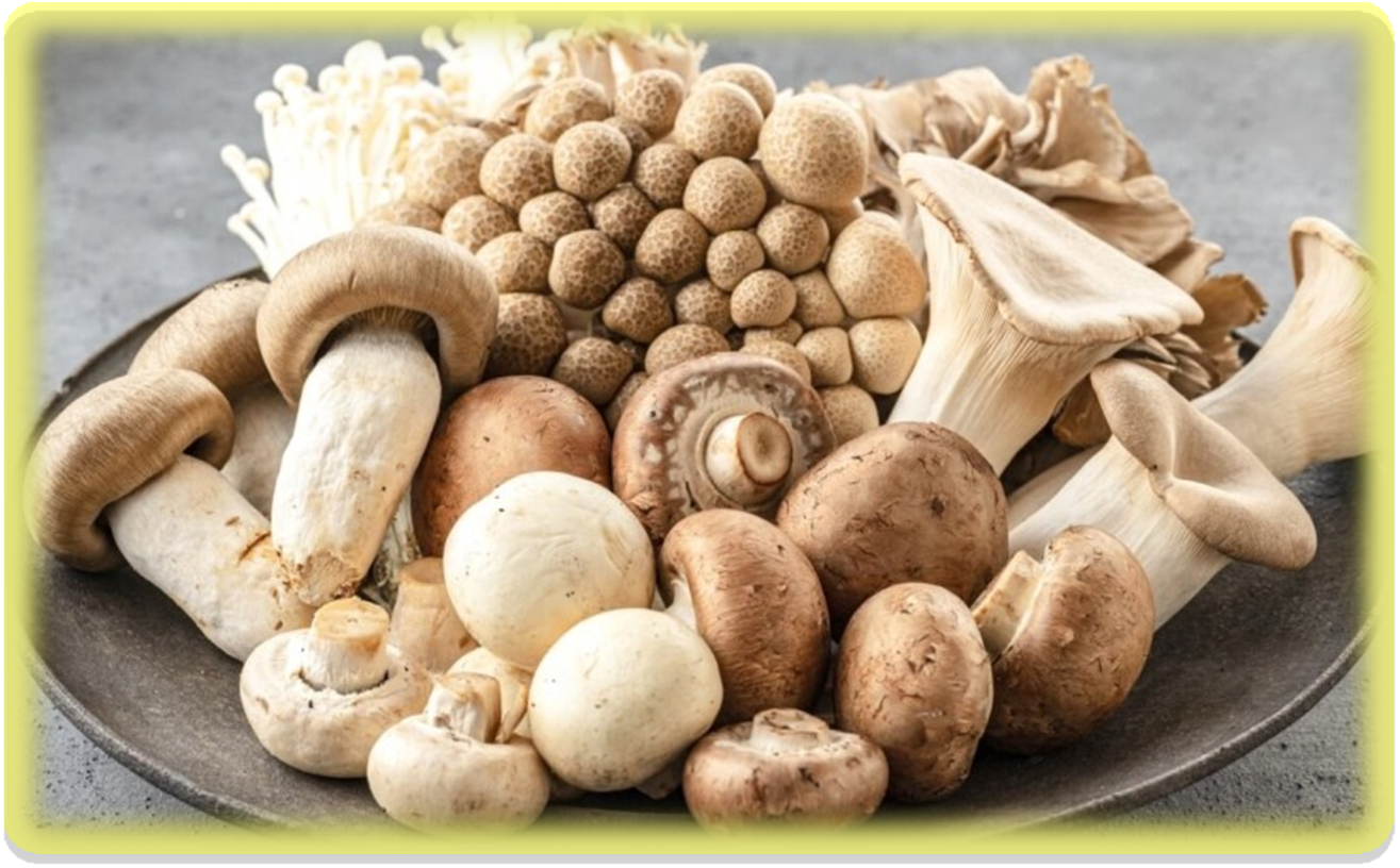 면역력 키우는 음식 버섯