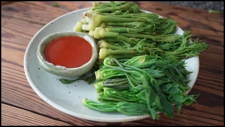 두릅요리 두릅데치기