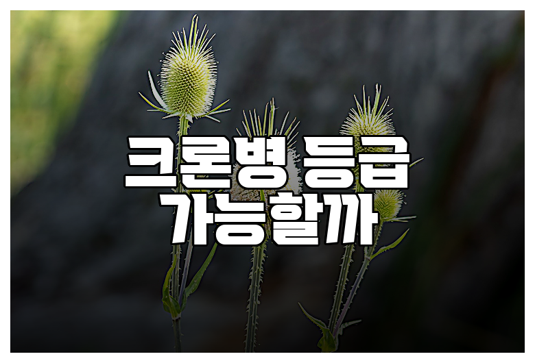 크론병 등급 가능할까