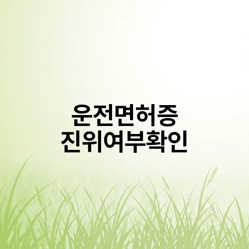 운전면허증 진위여부확인