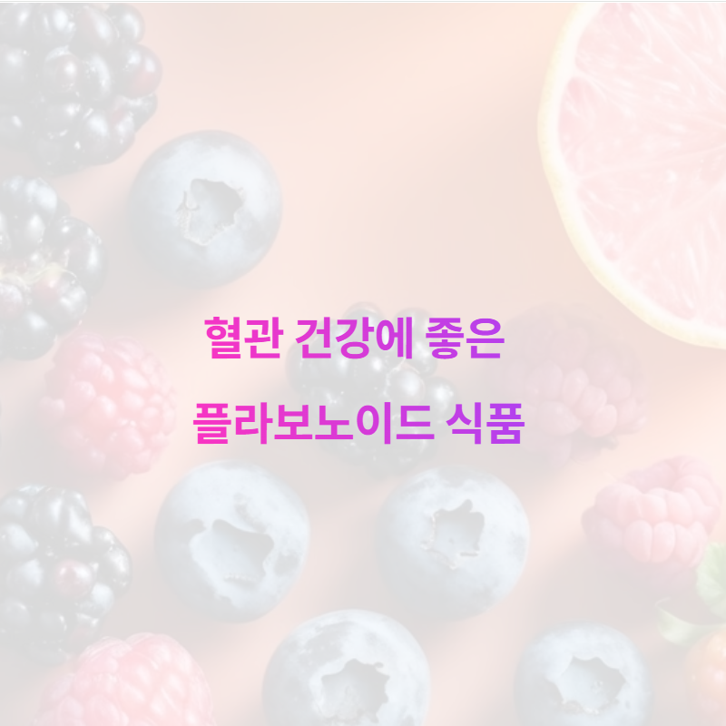 혈관 건강에 좋은 플라보노이드 식품 알아보기