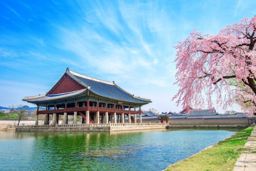 한국어교원자격증