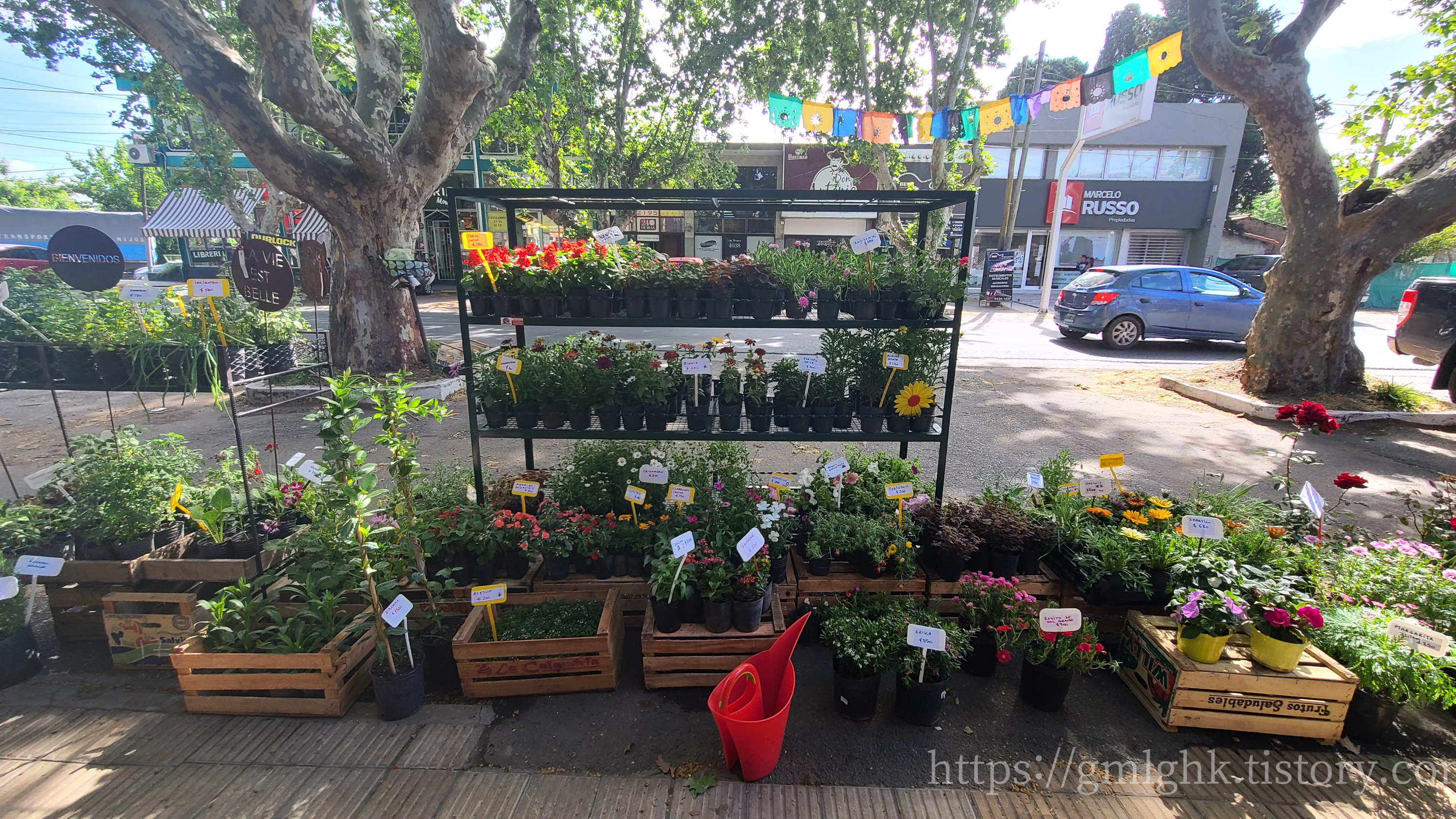 부에노스아이레스 꽃집