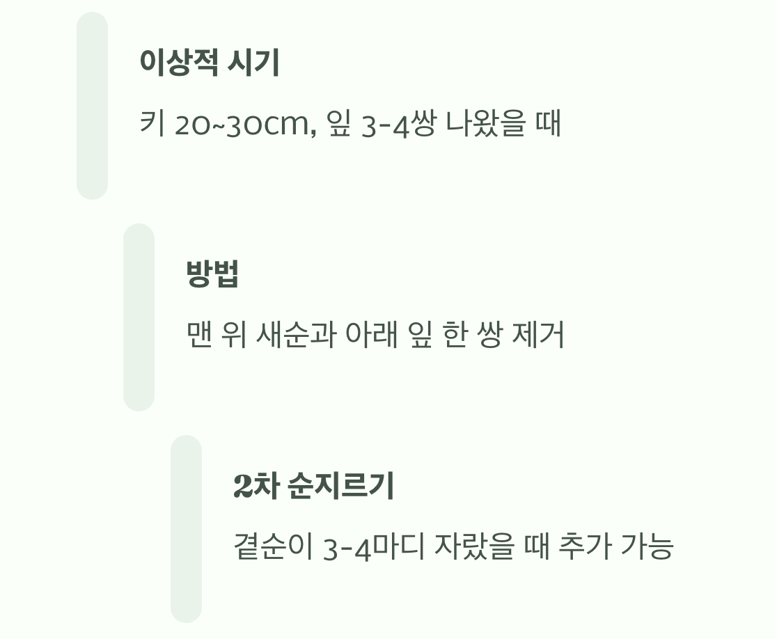 순지르기의 &amp;#39;황금 타이밍&amp;#39;