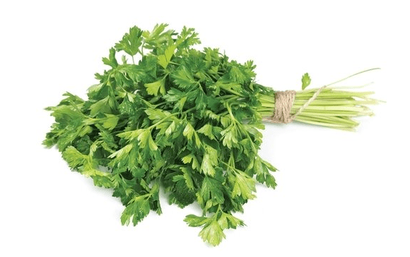 독소배출 채소 미나리