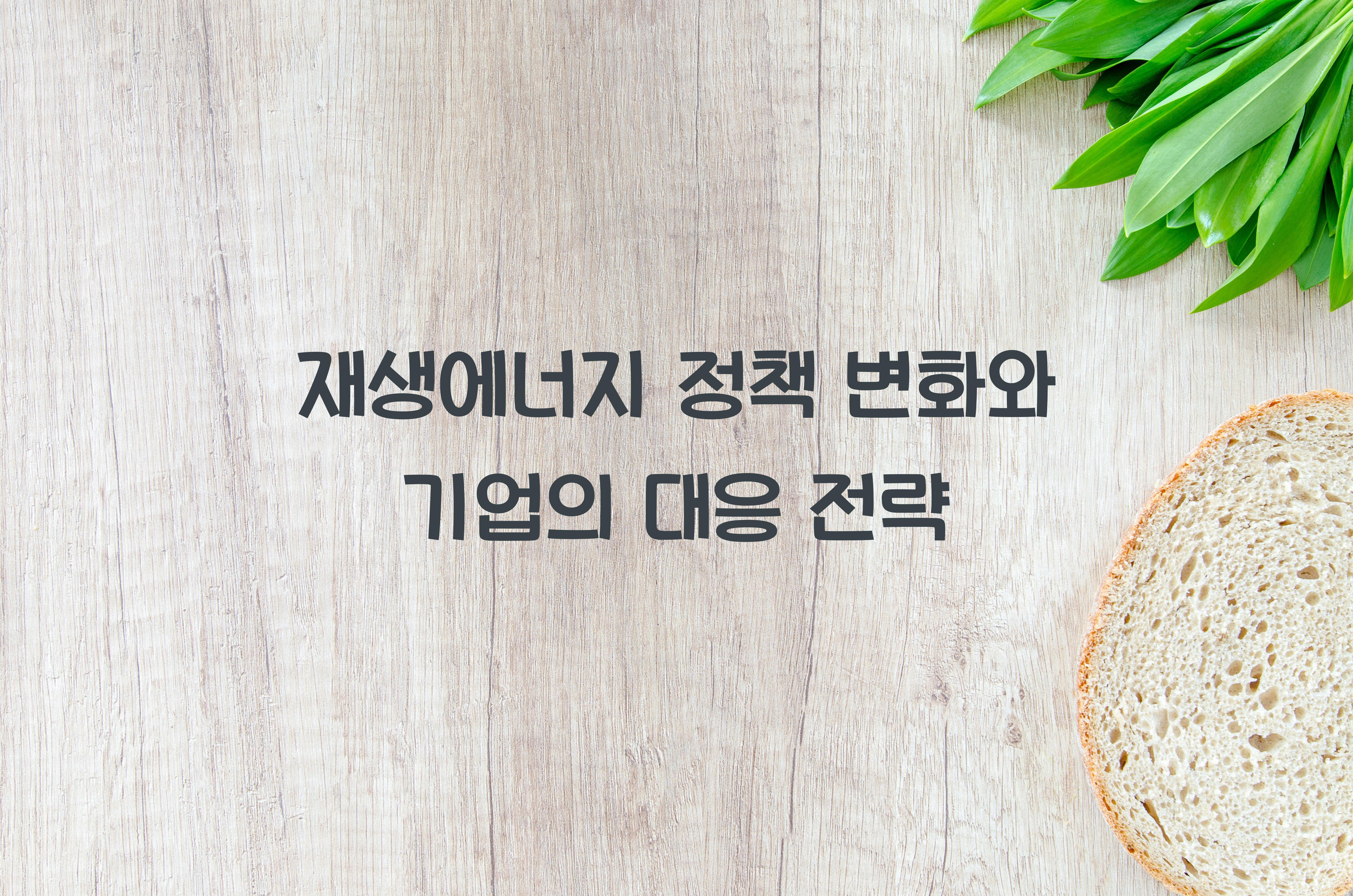 재생에너지 정책