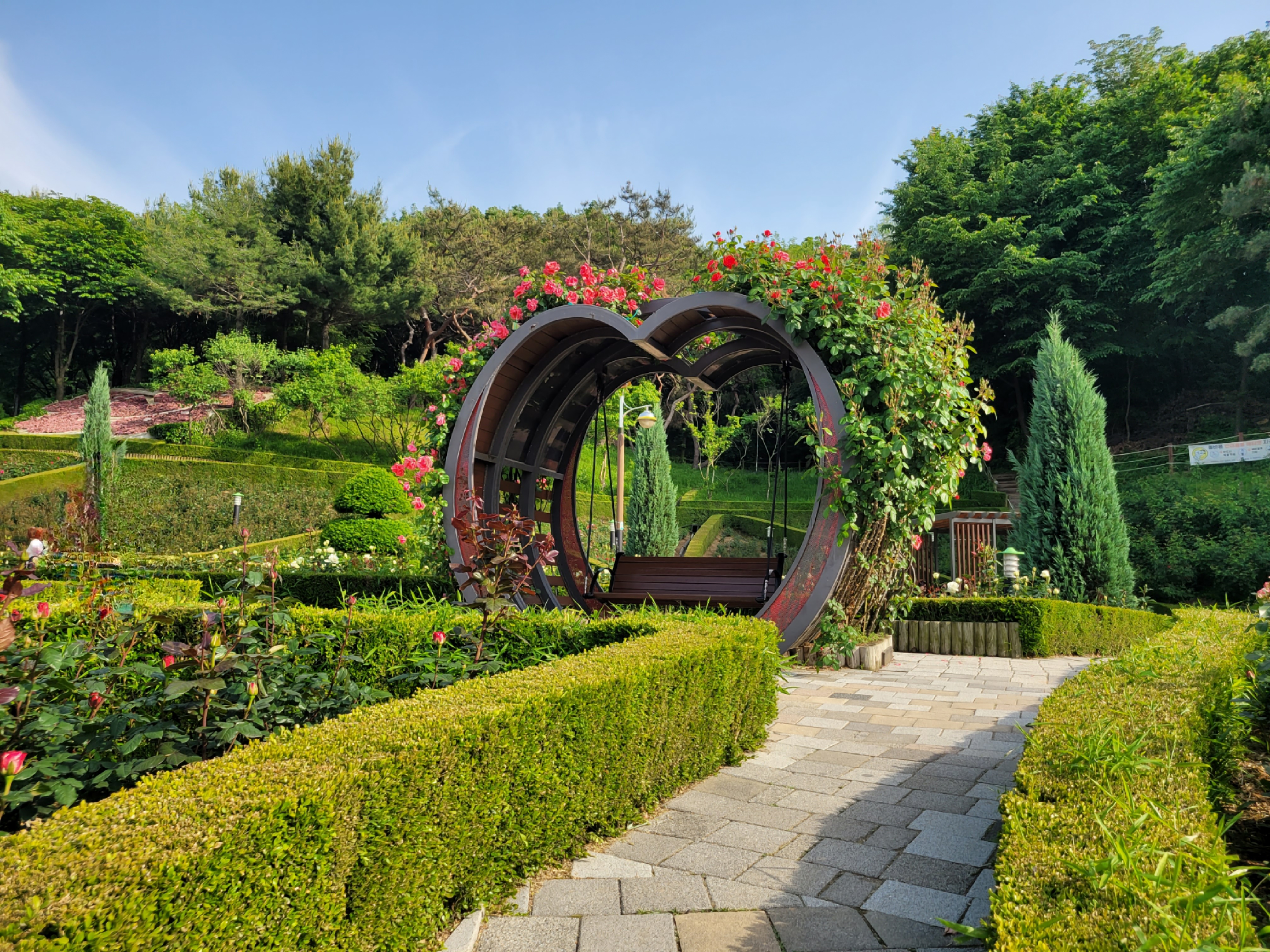 백만송이장미축제 포토존