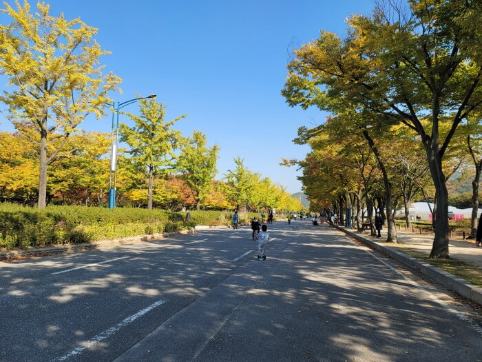 공원들어가는-도로