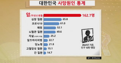 무엇이든물어보세요 암예방 버섯