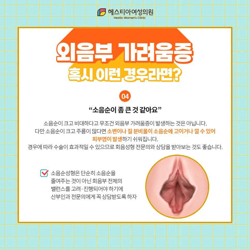 외음부 가려움증 소음순