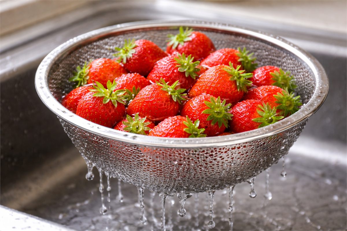 세척 후 채반에서 물기를 빼는 딸기 모습