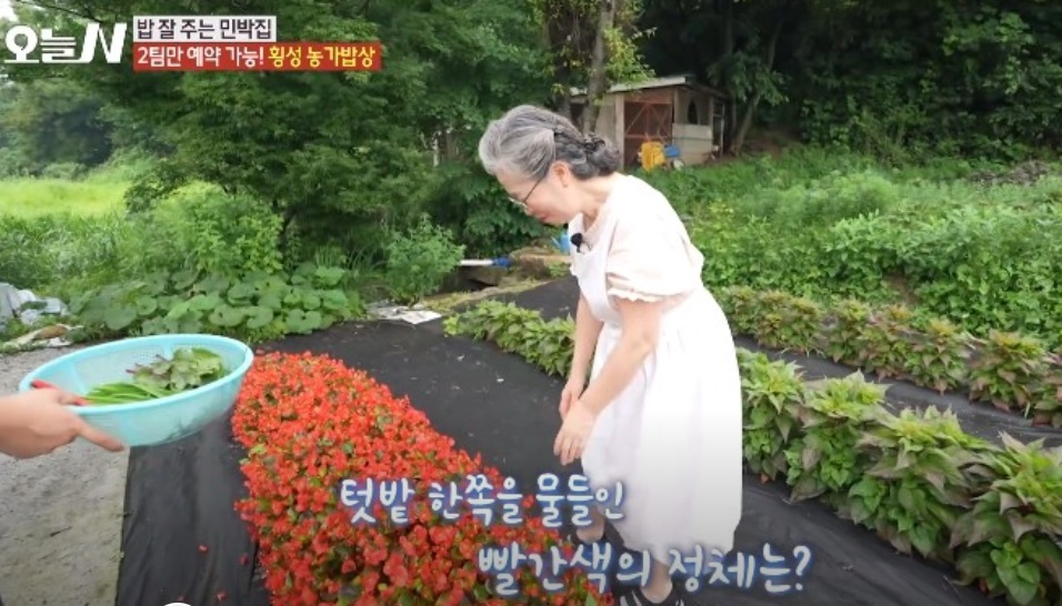 횡성-농가밥상-예다원