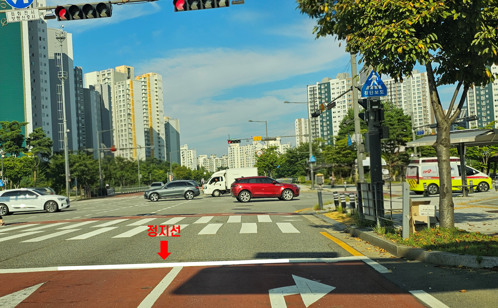 정지선 위치