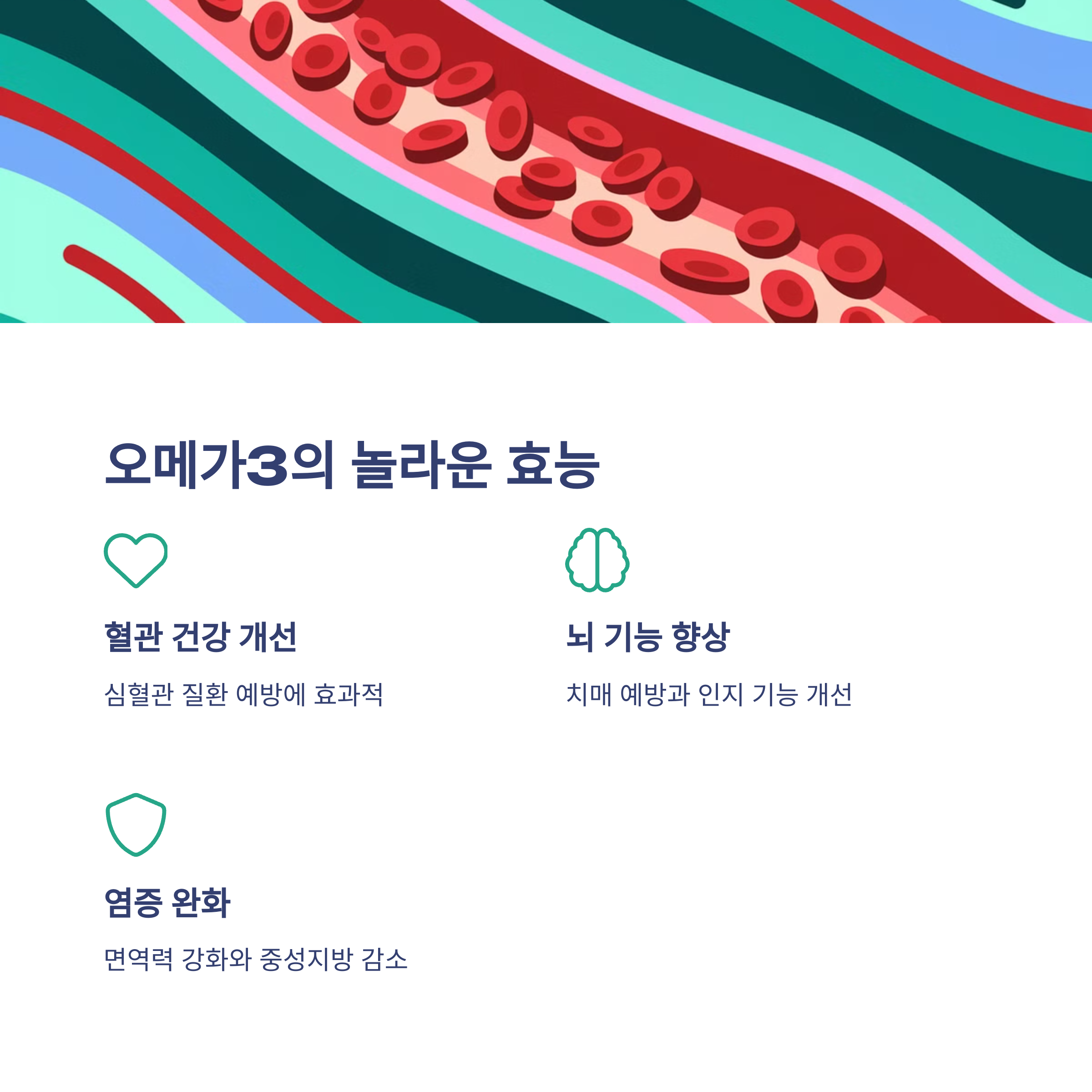 오메가3 vs 코엔자임Q10, 내 몸에 더 필요한 건?